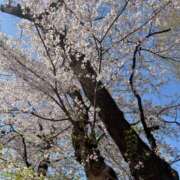 ヒメ日記 2026/04/10 08:50 投稿 まき 俺が小倉のM太郎