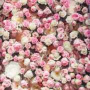 まりあ お礼 奥鉄オクテツ大阪