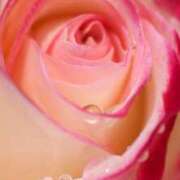 ヒメ日記 2026/04/19 19:50 投稿 まりあ 奥鉄オクテツ兵庫