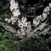 ヒメ日記 2026/03/30 08:07 投稿 天海（若妻） 越後屋池袋総本店