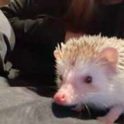 ヒメ日記 2026/03/30 10:07 投稿 天海（若妻） 越後屋池袋総本店