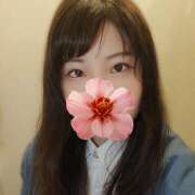 ねこ ※無題 エンジェルシリカ