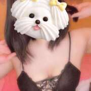 中田　りり【ロイヤルOP対応】 ぎゃんんん 赤と黒～女と男の秘密倶楽部～