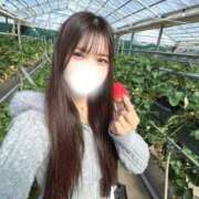 ヒメ日記 2026/04/03 09:22 投稿 ひすい ジャパンクラブ富士