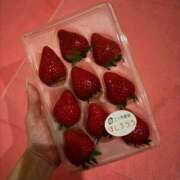 ヒメ日記 2026/04/05 21:32 投稿 ひすい ジャパンクラブ富士