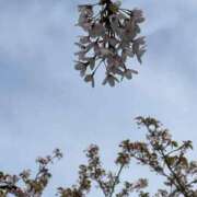 ヒメ日記 2026/04/15 09:02 投稿 たや ニューティアラ