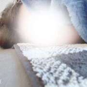 ヒメ日記 2026/04/19 07:54 投稿 たや ニューティアラ