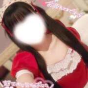 ヒメ日記 2026/04/10 11:35 投稿 うさぎ ラズベリードール