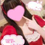 ヒメ日記 2026/04/11 02:35 投稿 うさぎ ラズベリードール