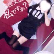 ヒメ日記 2026/04/13 16:34 投稿 うさぎ ラズベリードール