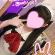 ヒメ日記 2026/04/15 14:34 投稿 うさぎ ラズベリードール