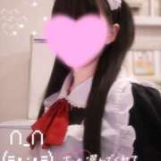 ヒメ日記 2026/04/18 02:34 投稿 うさぎ ラズベリードール