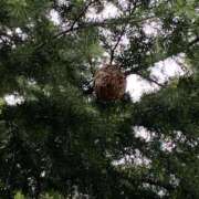 西山 こんにちは🍀 人妻風俗チャンネル