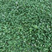 ヒメ日記 2026/04/24 10:33 投稿 西山 人妻風俗チャンネル