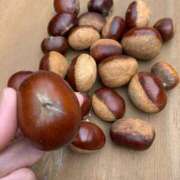 西山 こんにちは🌰 人妻風俗チャンネル