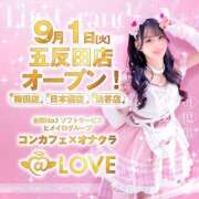 ヒメ日記 2026/09/13 00:11 投稿 のどか コンカフェ×オナクラ ＠LOVE渋谷店