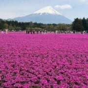みき 急ですが… 静岡♂風俗の神様 静岡店