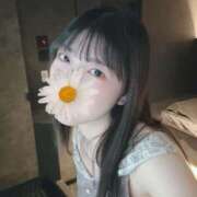 ヒメ日記 2026/03/30 07:28 投稿 こよみ KOBE GOLD