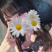 ヒメ日記 2026/04/02 07:15 投稿 こよみ KOBE GOLD