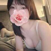ヒメ日記 2026/04/06 12:24 投稿 こよみ KOBE GOLD