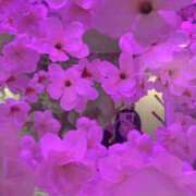 ヒメ日記 2026/04/04 20:08 投稿 カムルチー　雷魚 女の子市場