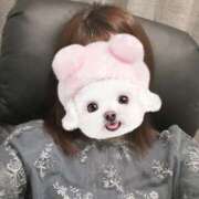 ヒメ日記 2026/03/31 18:13 投稿 ほの 京都デリヘル倶楽部FIRST