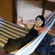 ヒメ日記 2026/04/02 17:41 投稿 ほの 京都デリヘル倶楽部FIRST