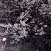 ヒメ日記 2026/04/03 20:53 投稿 しおり CLUB ROOKIE（ルーキー）
