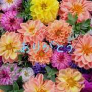 ヒメ日記 2026/04/11 16:34 投稿 北岡あかね 五十路マダム金沢店