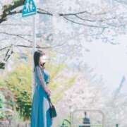 ヒメ日記 2026/04/09 22:46 投稿 屋敷 サブマリン