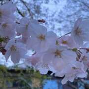 ヒメ日記 2026/03/29 18:10 投稿 ゆかり 人妻倶楽部　ひまわり