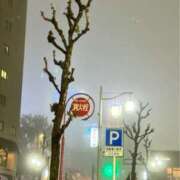 ヒメ日記 2026/04/11 00:03 投稿 ゆかり 人妻倶楽部　ひまわり