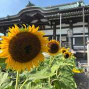 ヒメ日記 2026/08/24 02:07 投稿 ゆかり 人妻倶楽部　ひまわり
