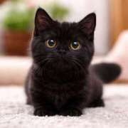 ヒメ日記 2026/04/14 23:21 投稿 霧島 えりな 癒しの円環～Art of Massage～五反田