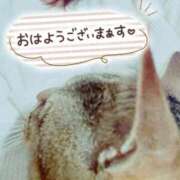 ヒメ日記 2026/04/01 07:20 投稿 新人 秋乃(あきの) エッチな熟女(広島)