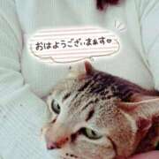 ヒメ日記 2026/04/03 07:40 投稿 新人 秋乃(あきの) エッチな熟女(広島)
