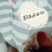 ヒメ日記 2026/04/05 07:25 投稿 新人 秋乃(あきの) エッチな熟女(広島)