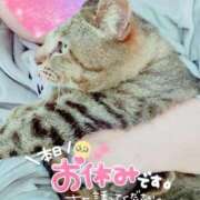 ヒメ日記 2026/04/09 09:25 投稿 新人 秋乃(あきの) エッチな熟女(広島)