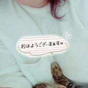 ヒメ日記 2026/04/18 07:30 投稿 新人 秋乃(あきの) エッチな熟女(広島)