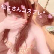 ヒメ日記 2026/07/12 20:32 投稿 ひびき お姉京都