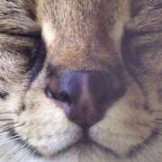 ヒメ日記 2026/03/30 22:16 投稿 さく 福島駅前ちゃんこ