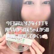 ヒメ日記 2026/04/08 13:33 投稿 琥珀むぎ 五反田痴女性感フェチ倶楽部