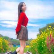 ヒメ日記 2026/04/14 09:53 投稿 琥珀むぎ 五反田痴女性感フェチ倶楽部