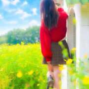 ヒメ日記 2026/04/14 18:03 投稿 琥珀むぎ 五反田痴女性感フェチ倶楽部