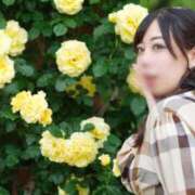 ヒメ日記 2026/06/25 16:43 投稿 琥珀むぎ 五反田痴女性感フェチ倶楽部