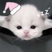 ヒメ日記 2026/03/29 00:45 投稿 シエル Club Hearts