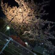 ヒメ日記 2026/04/10 12:07 投稿 シエル Club Hearts