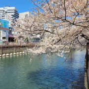 ヒメ日記 2026/04/03 19:00 投稿 さき エマニエル秋葉原