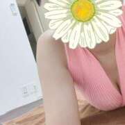 ヒメ日記 2026/04/09 11:41 投稿 佳乃 Mrs.RankUp（ミセスランクアップ）