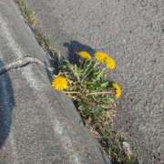 ヒメ日記 2026/04/20 08:48 投稿 日向-ヒナタ- お姉さんセレブR38